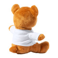 Sincler Ours en peluche